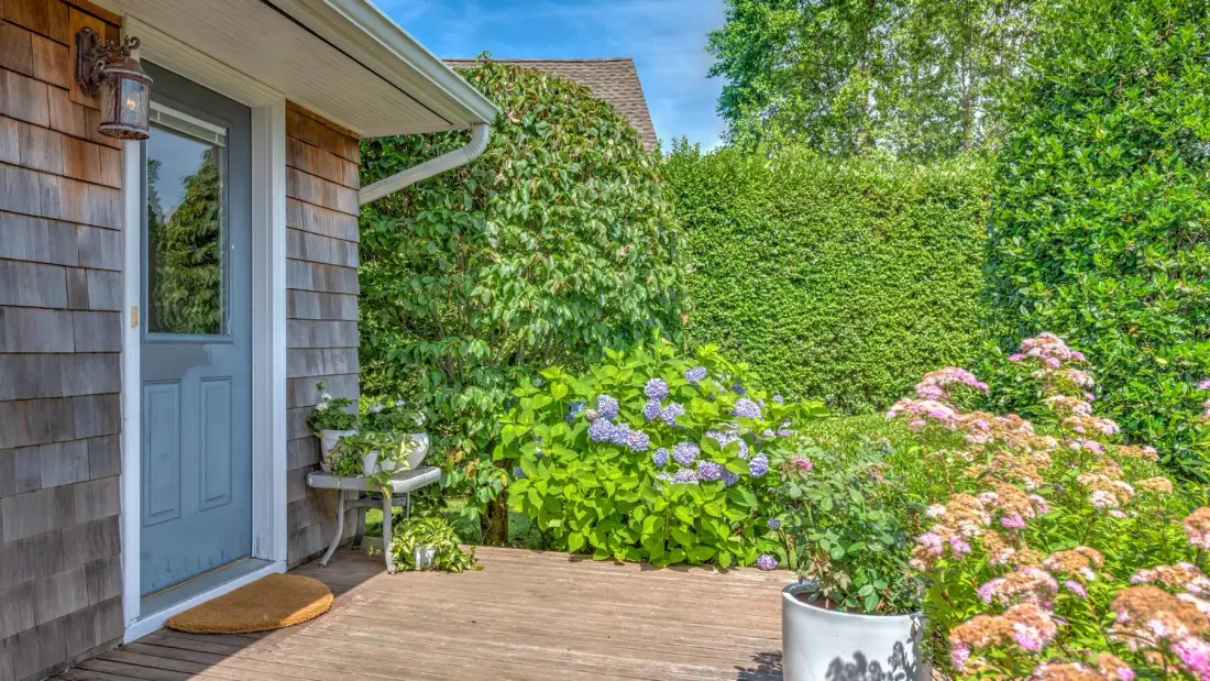 A wooden deck beside a blue door is bordered by flowering shrubs and greenery.