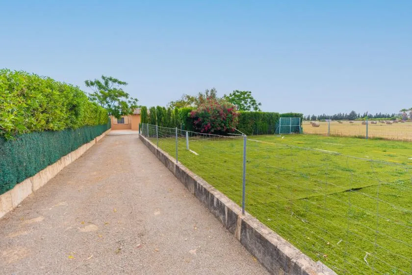 An outdoor yard with a gravel path beside a fenced grassy area.