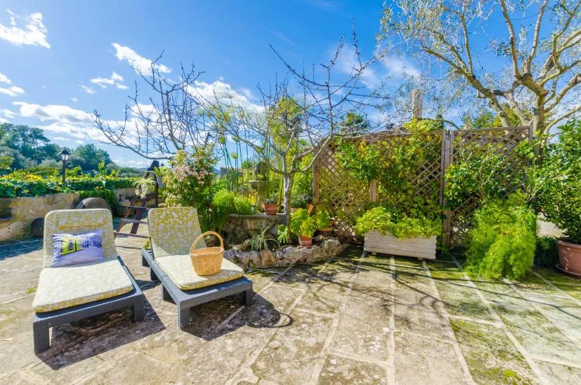 A sunny garden patio with lounge seating, potted plants, and a wooden trellis.