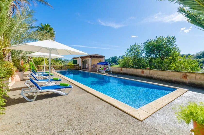 An outdoor swimming pool sits beside lounge seating and shade umbrellas.