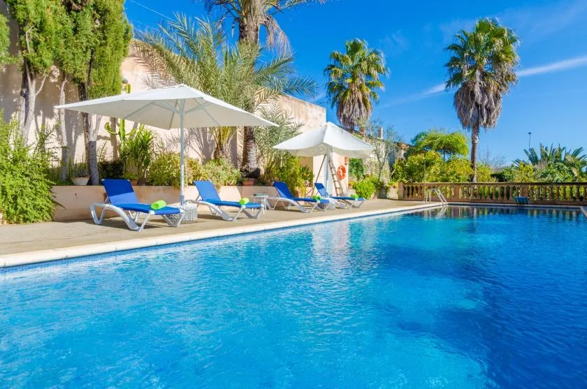 A swimming pool beside a sunlit patio with lounge seating and umbrellas.