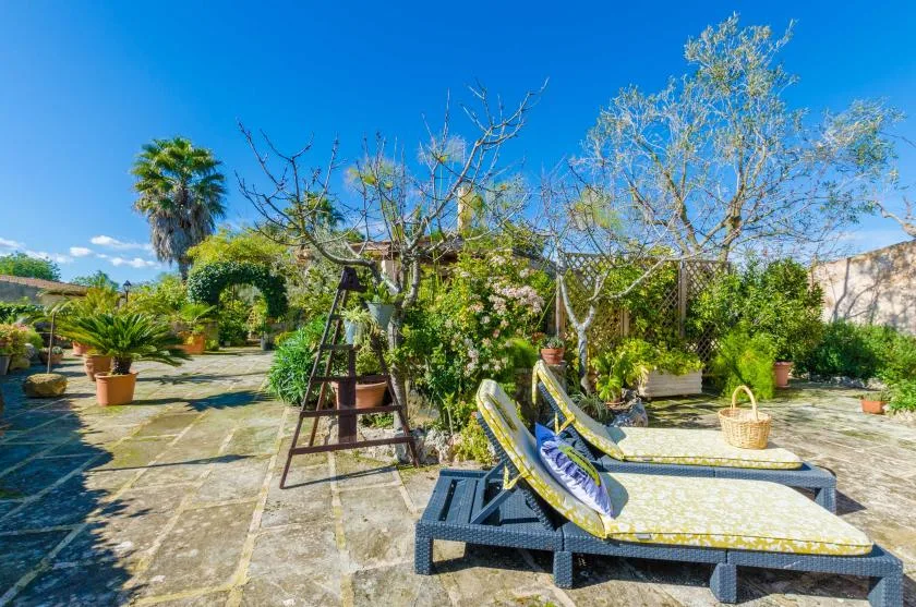 A sunny garden patio with reclining loungers, potted plants, and leafy trees.