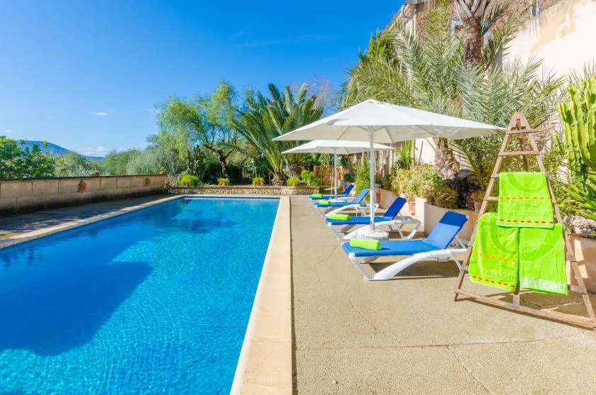 A swimming pool beside lounge seating, with a white umbrella and leafy plants.