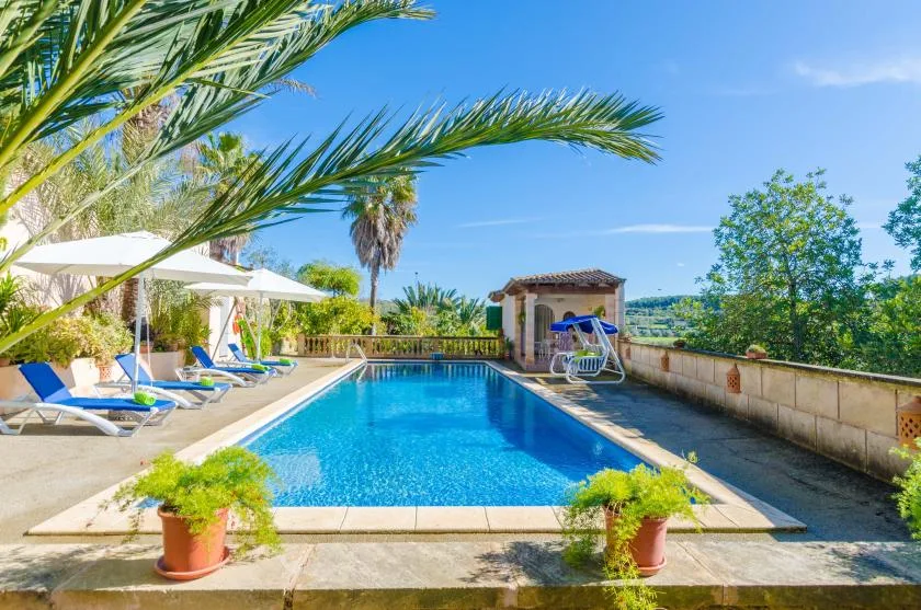 An outdoor swimming pool bordered by loungers, patio umbrellas, and palm trees.