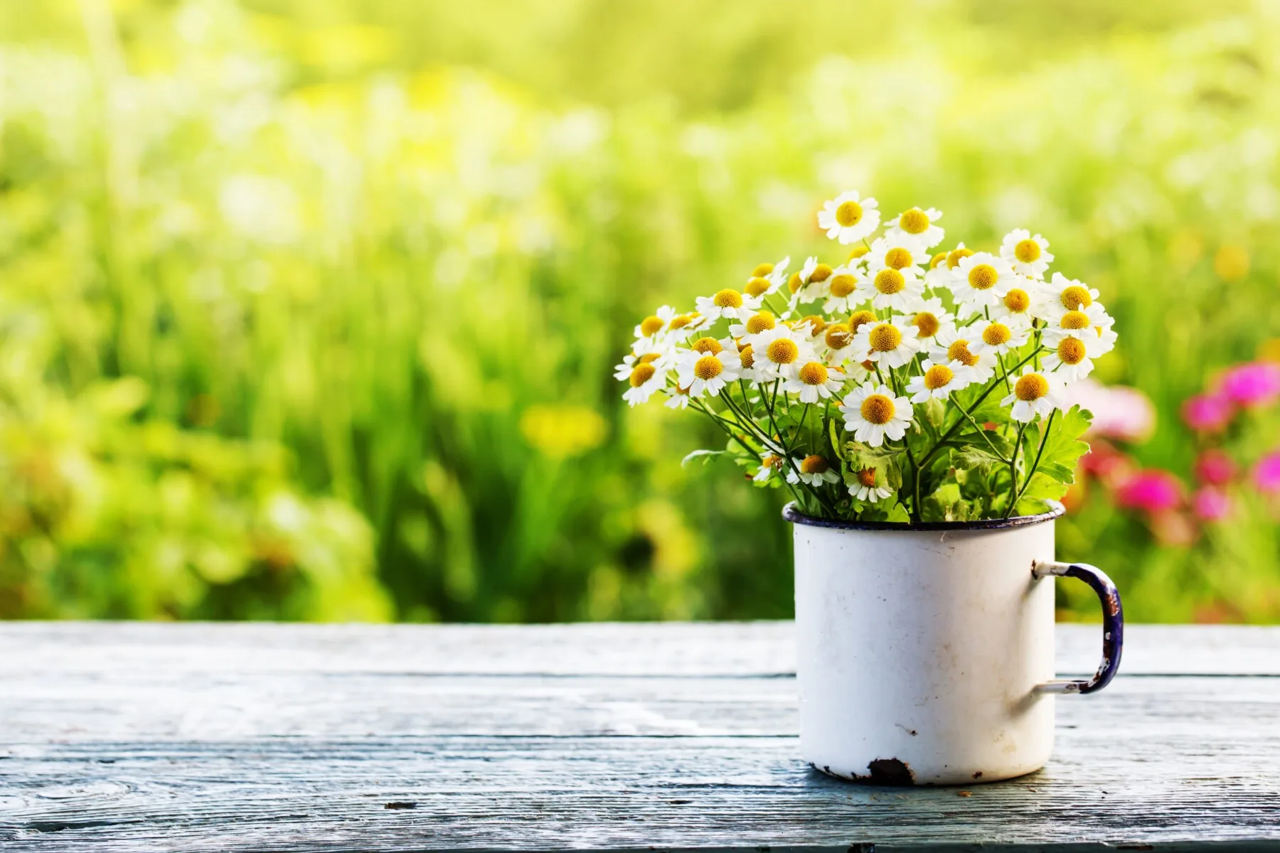 Seasonal arrangement image