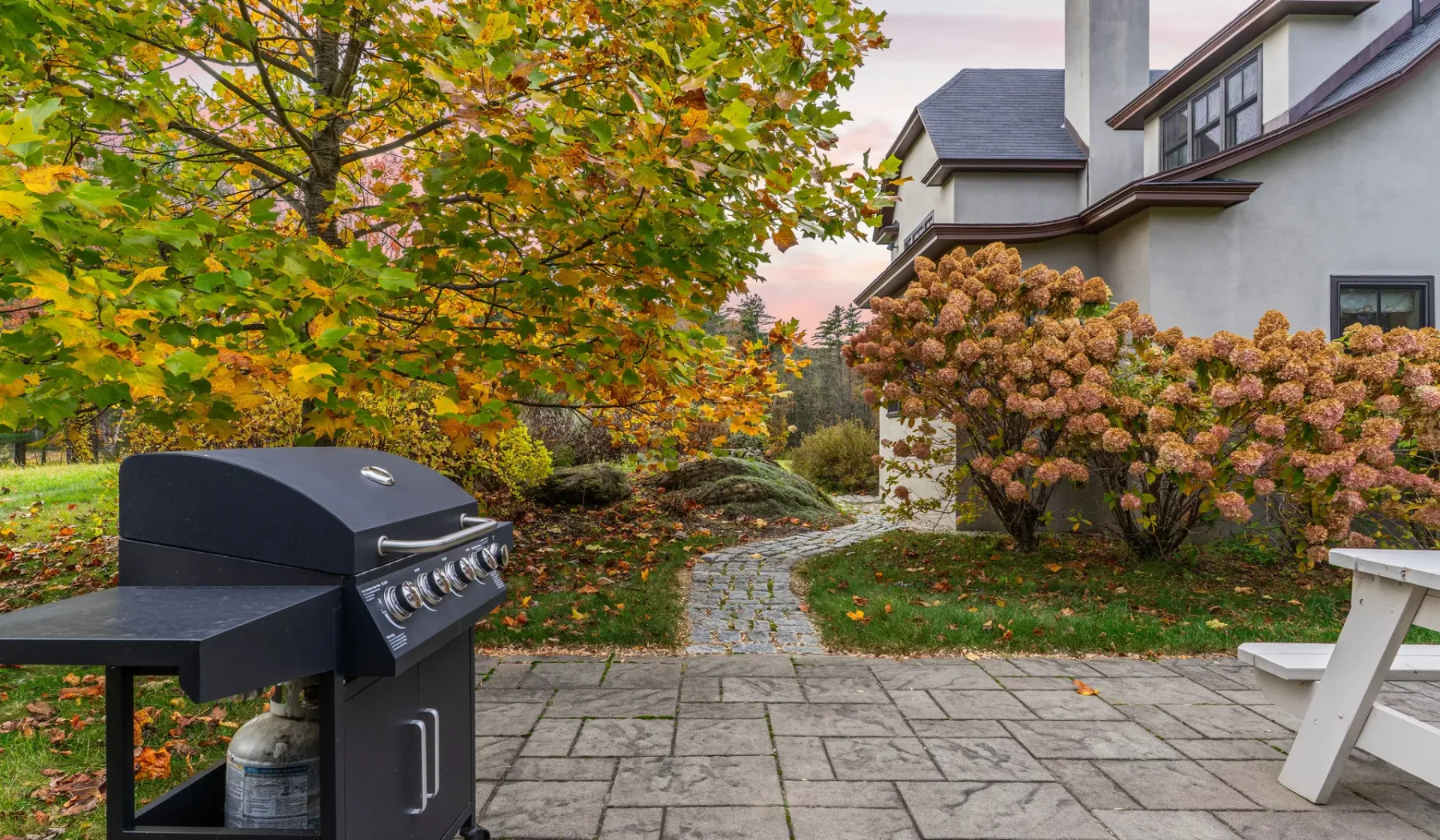 Un patio exterior pavimentado junto a una casa, con una parrilla y árboles frondosos.