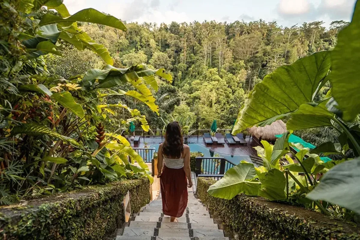 Guest walking through the tropical jungle surroundings