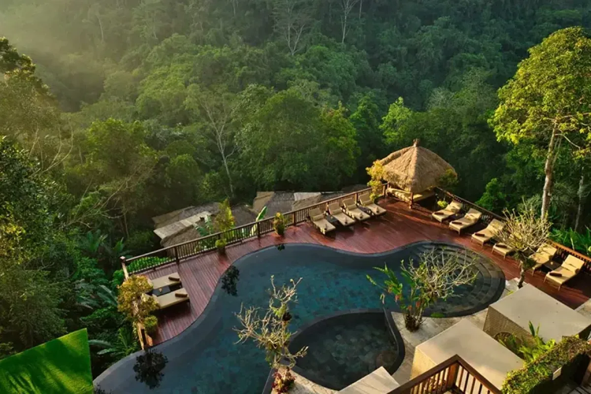 Jungle swimming pool and villas