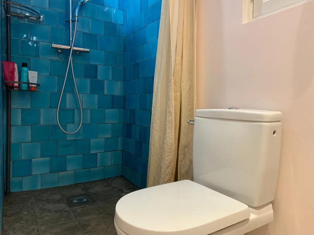 A bathroom with a tiled shower and a toilet.