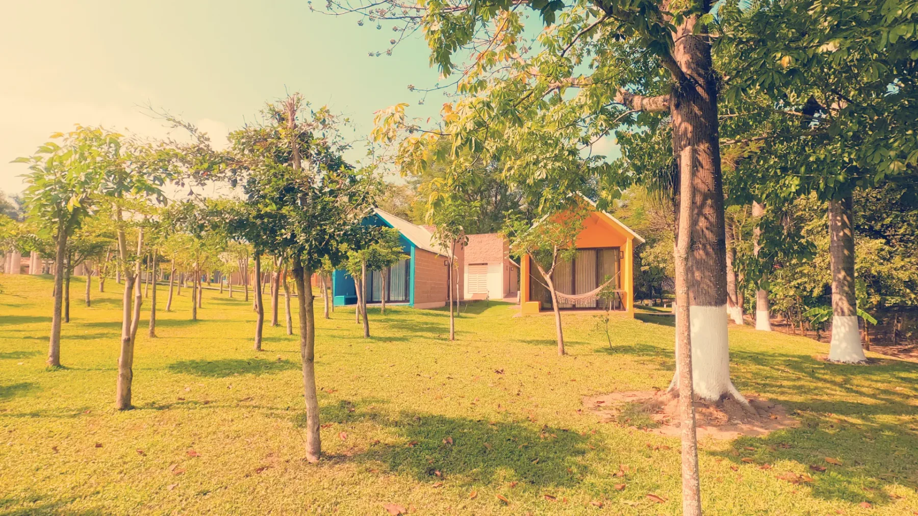 Yaxja cabin