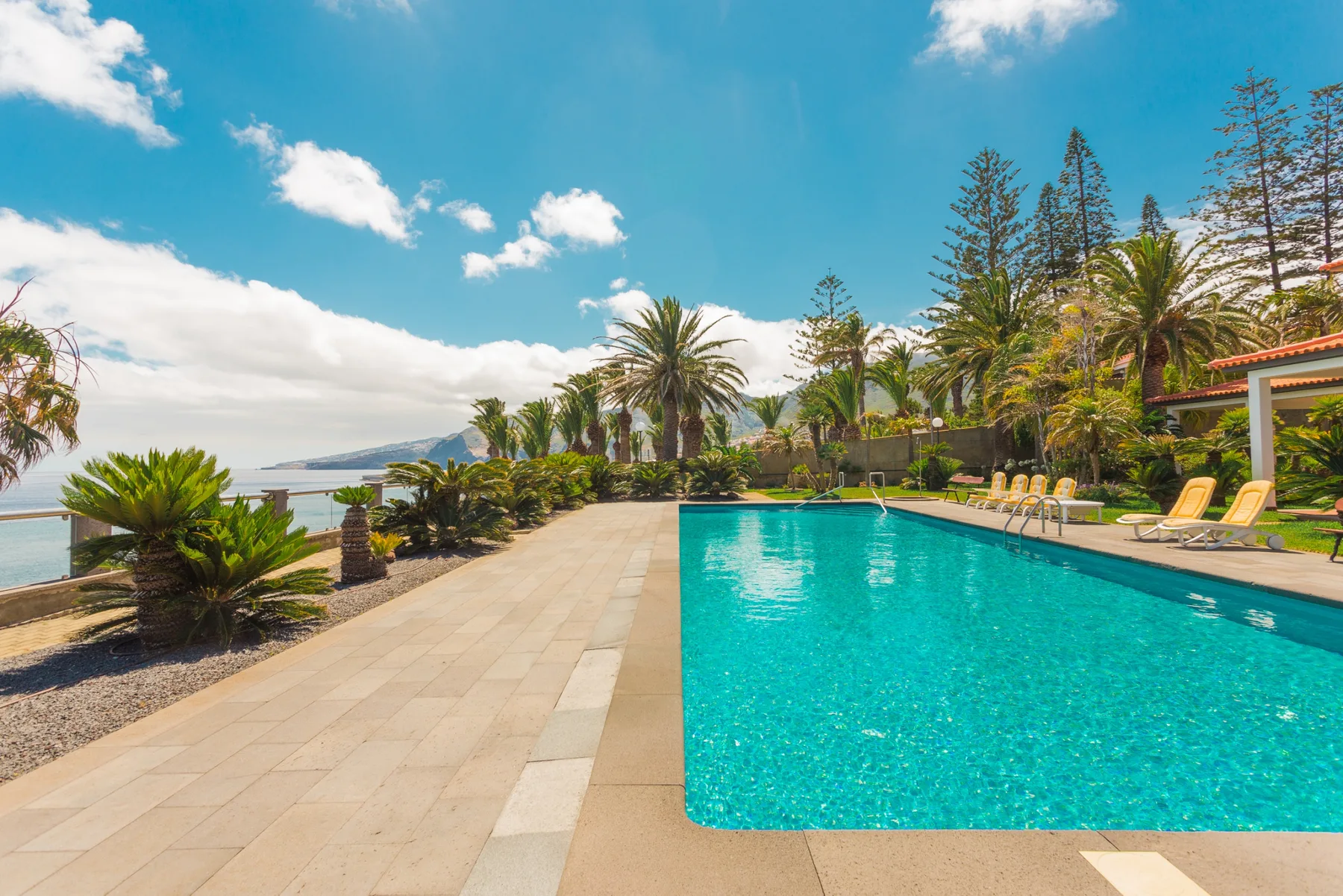Una piscina al aire libre junto a una terraza pavimentada, palmeras y tumbonas.