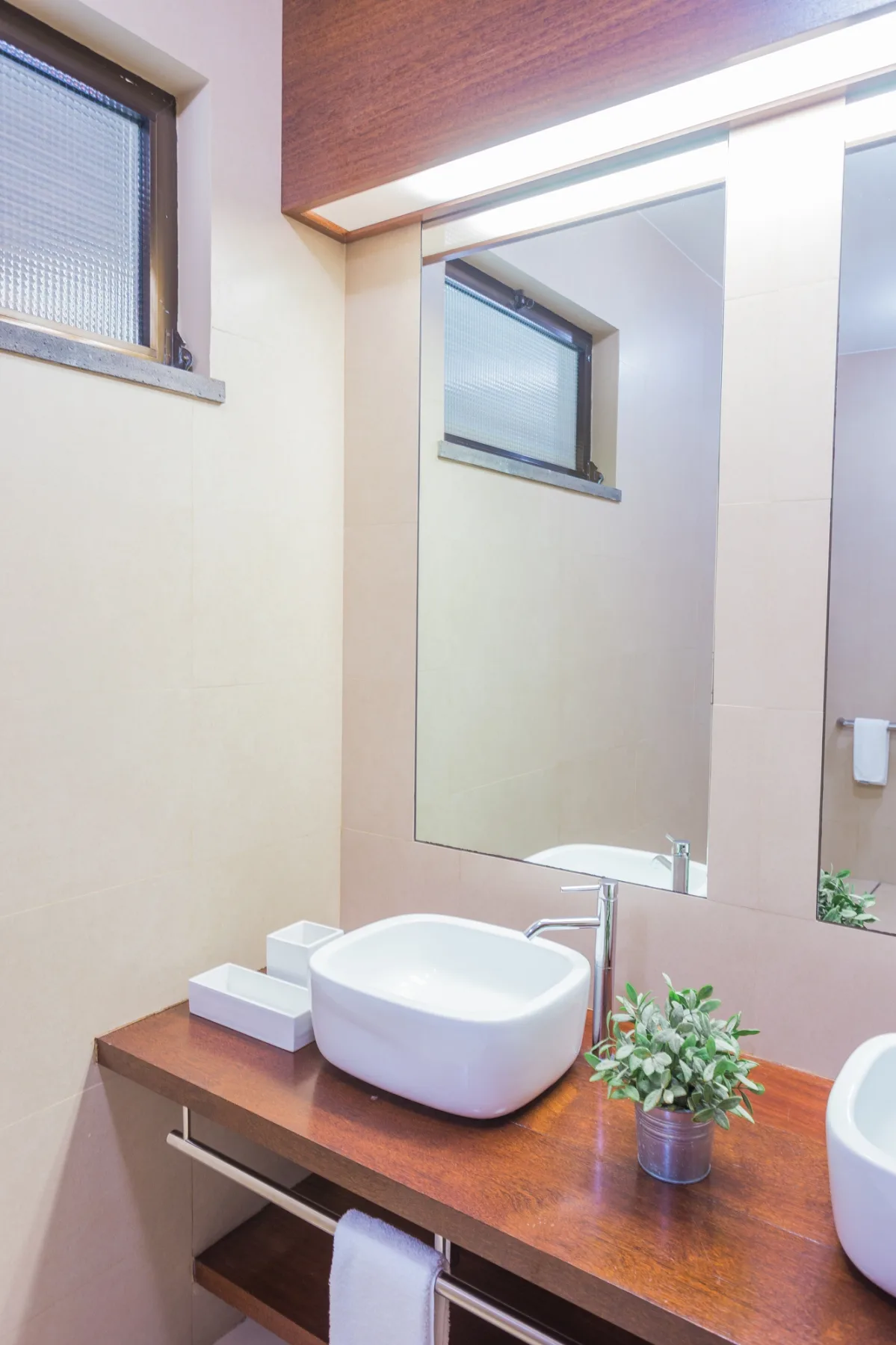 Un lavabo de baño con una pila blanca sobre encimera, un espejo y una pequeña planta.