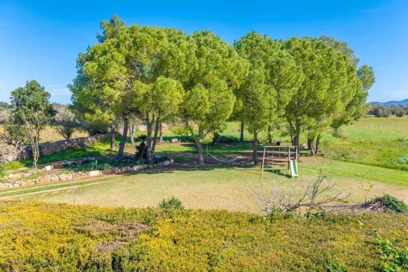 Una zona exterior con césped, un grupo de árboles y una pequeña estructura de juego.