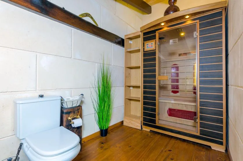 Un baño con un inodoro y una sauna con puerta de vidrio.