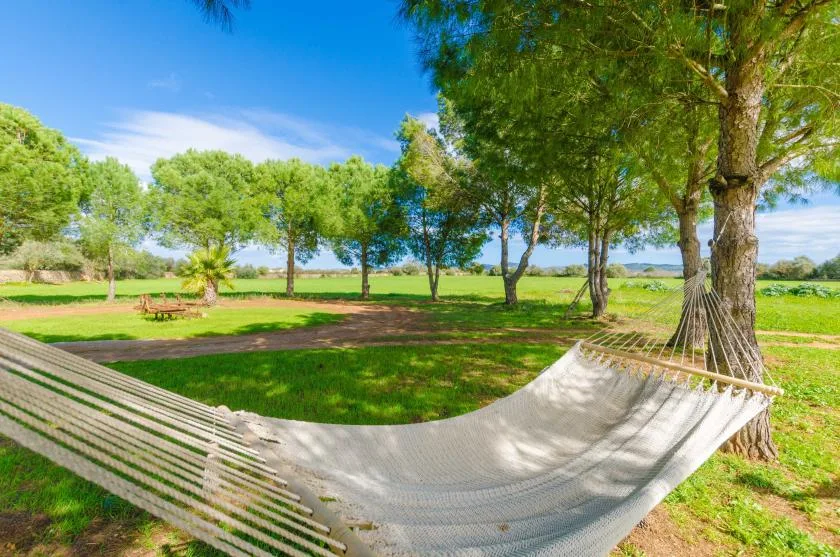 Una hamaca cuelga entre árboles en un parque soleado y cubierto de hierba.