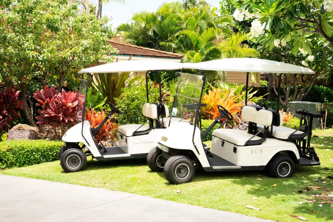 Two golf carts are parked on a lawn amid lush tropical landscaping.