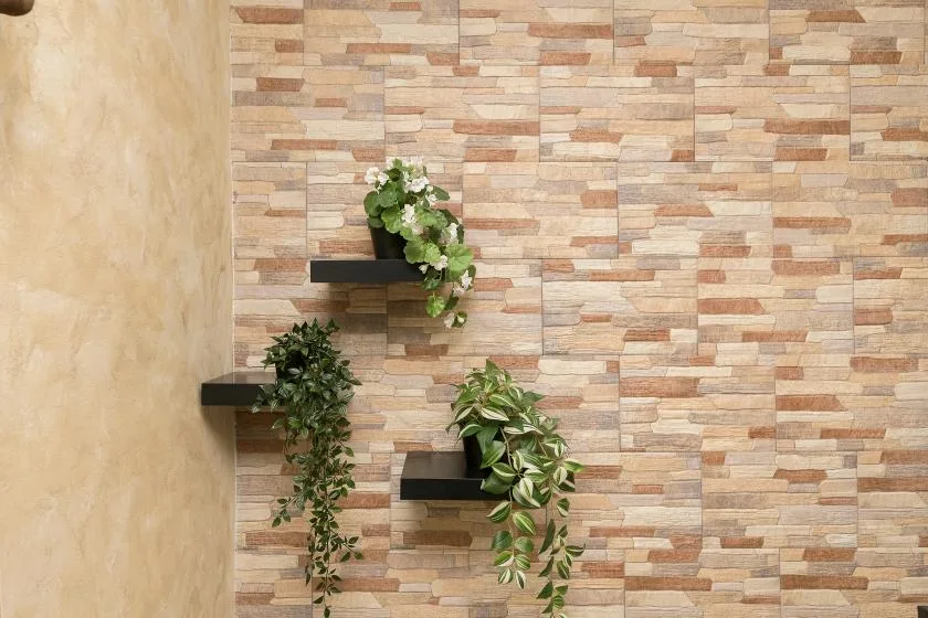 A tiled wall with three small shelves displaying potted plants.