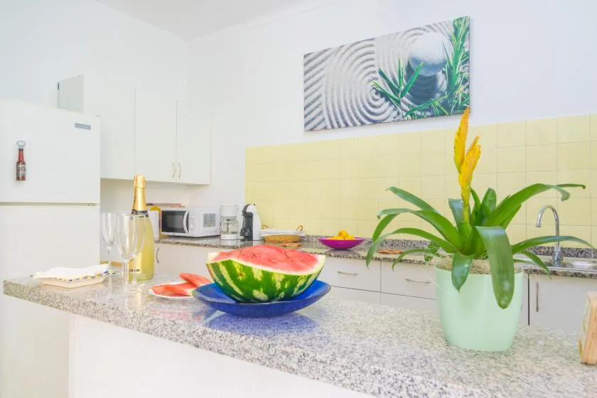 A bright kitchen with a fruit platter and a leafy plant on the counter.