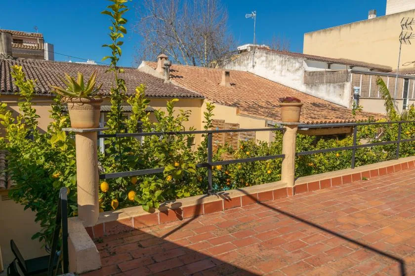 A sunny terrace overlooks neighboring rooftops, with potted plants and greenery along the railing.