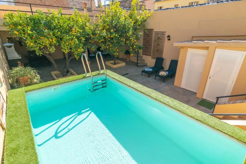 A small courtyard swimming pool sits beside leafy trees and outdoor seating.
