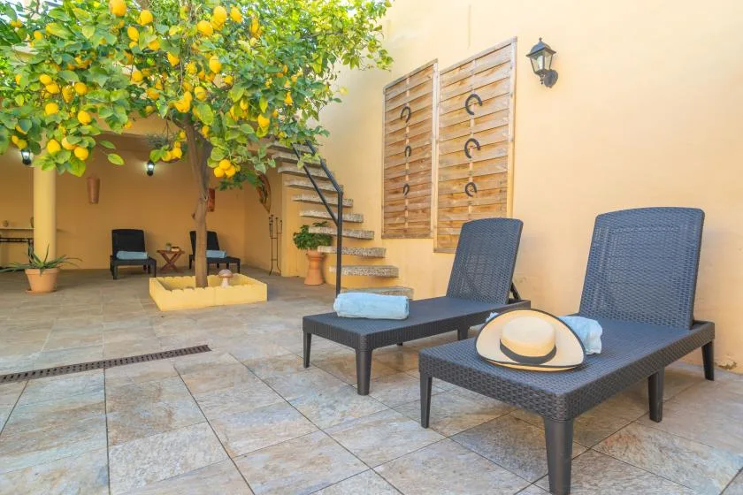 A tiled outdoor patio with lounge seating beneath a leafy citrus tree.