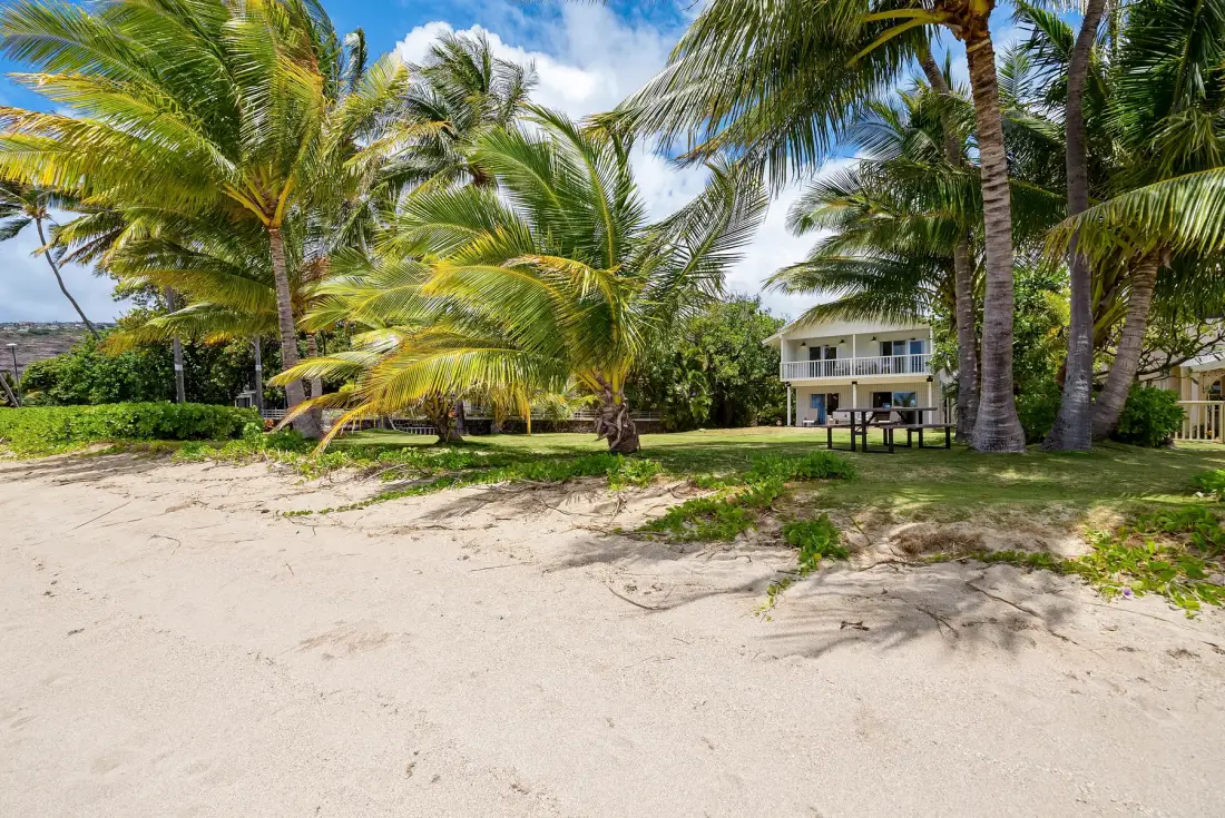 Una playa de arena bordeada de palmeras, con un edificio visible más allá de la orilla.