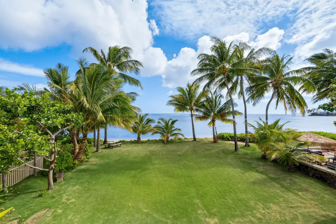 Un jardín tropical con césped y palmeras se asoma al agua bajo un cielo azul nublado.