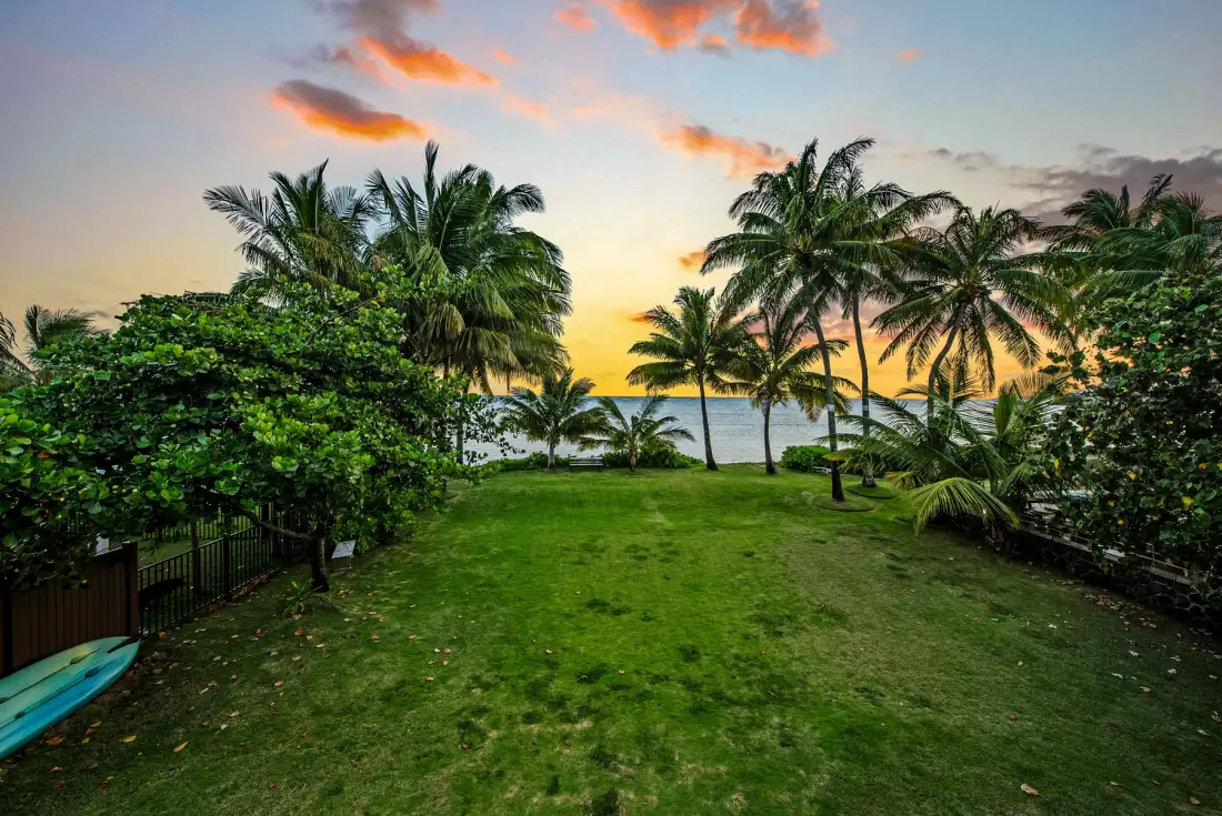 Un jardín cubierto de césped y palmeras da al agua al atardecer.