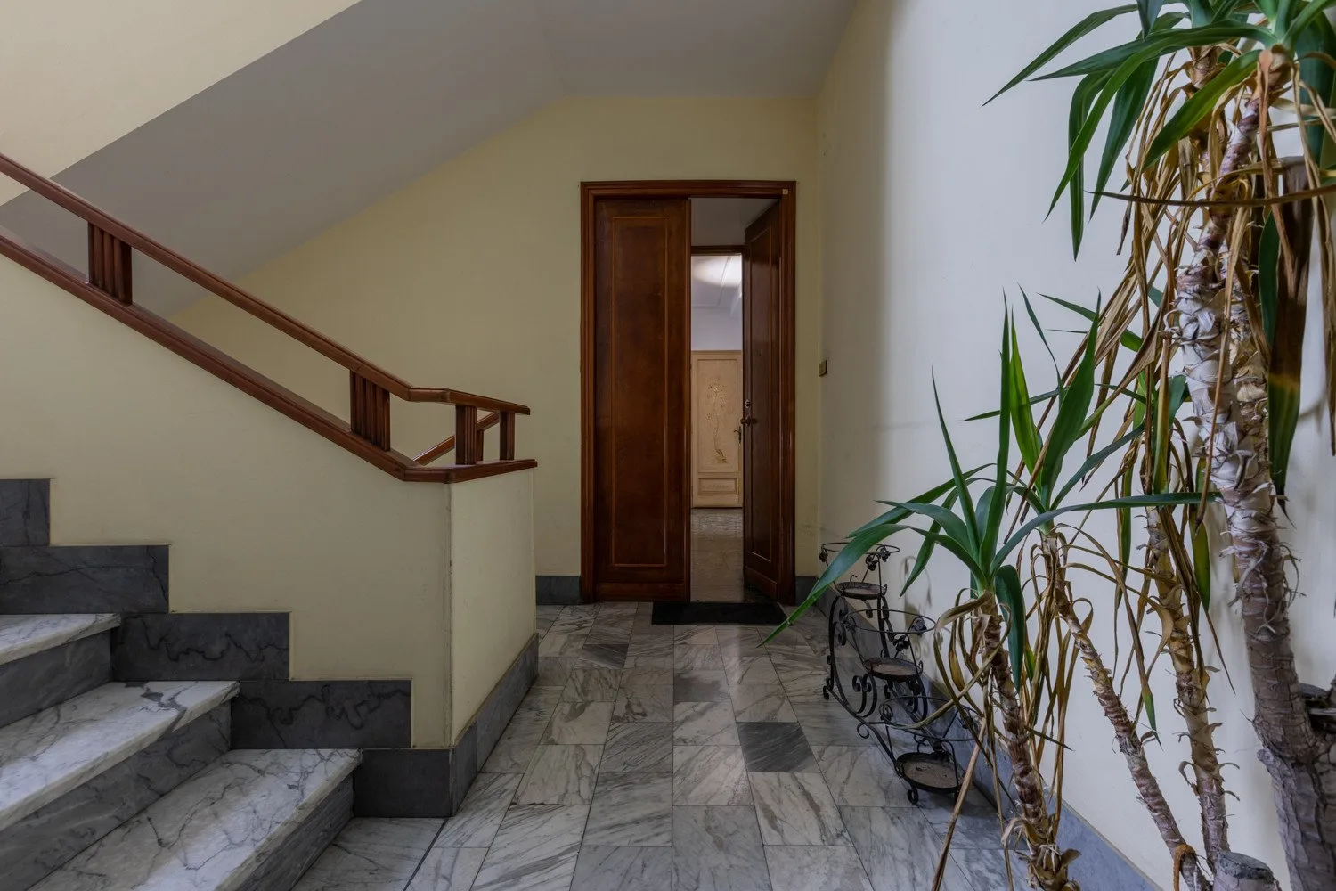 Una escalera y un pasillo interior con escalones de piedra, barandilla de madera y plantas en macetas.