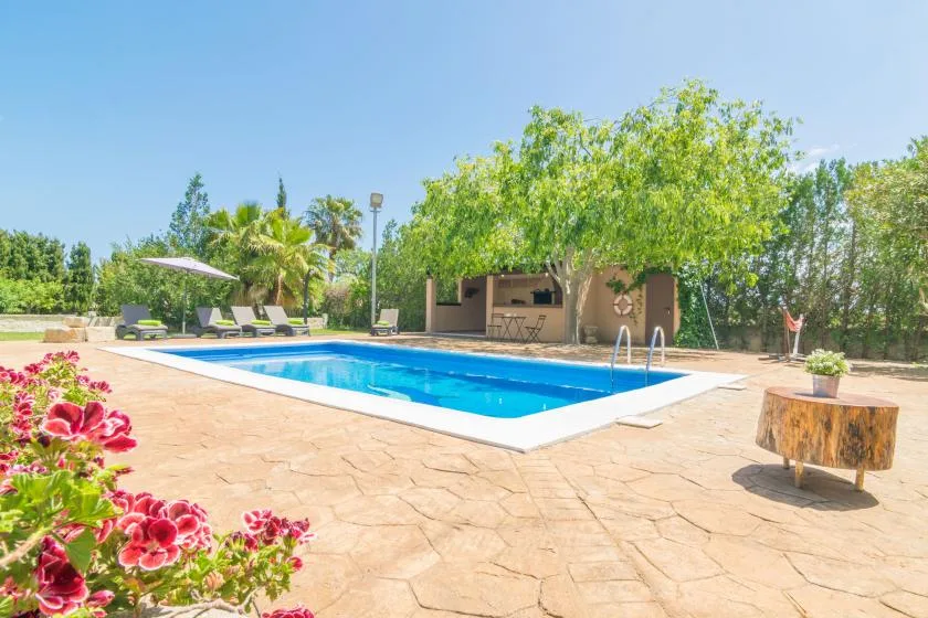 Una piscina al aire libre junto a un patio pavimentado y árboles frondosos.