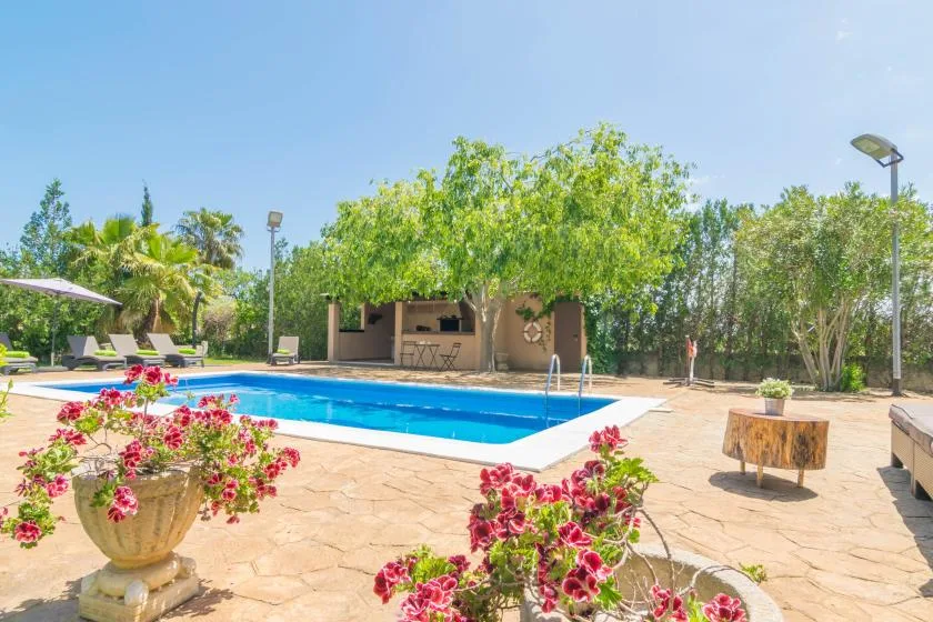 Una piscina al aire libre está junto a un patio sombreado y plantas con flores.