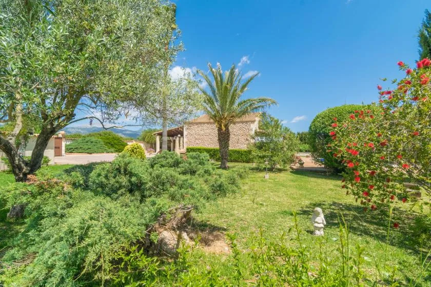 Un jardín con una palmera, arbustos floridos y un edificio de piedra.