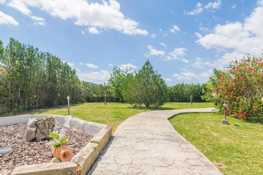 Un sendero pavimentado serpentea por un jardín con césped, árboles y arbustos floridos.