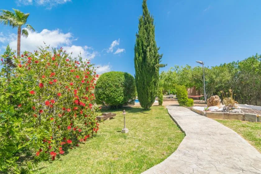 Un jardín paisajístico con un sendero curvo y arbustos en flor.