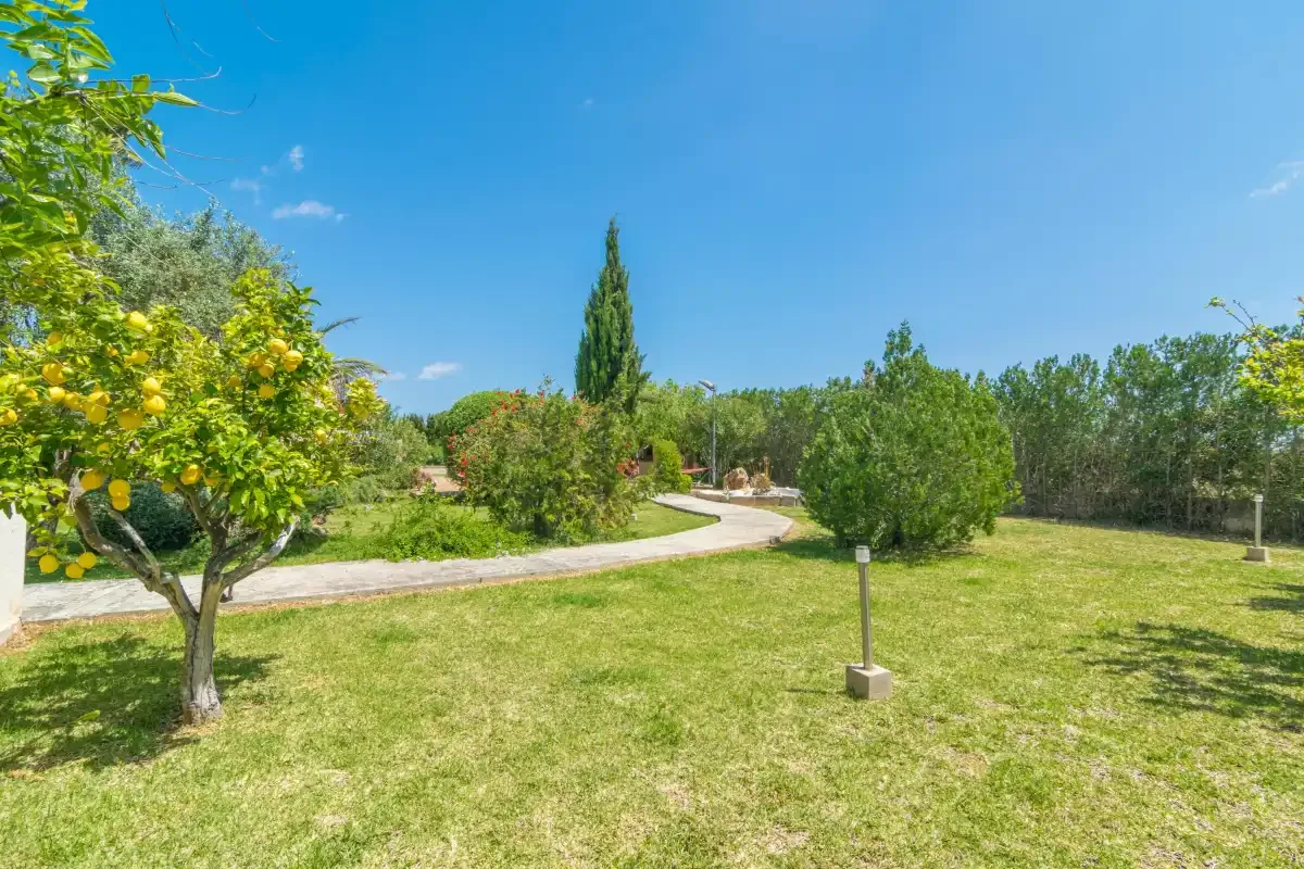 Un jardín soleado con un sendero curvo, árboles frondosos y un cítrico con frutos.