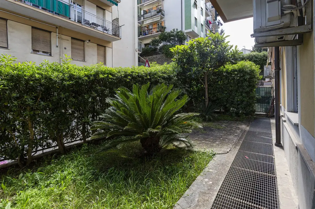 Un patio con arbustos, una planta parecida a una palmera y un sendero pavimentado.