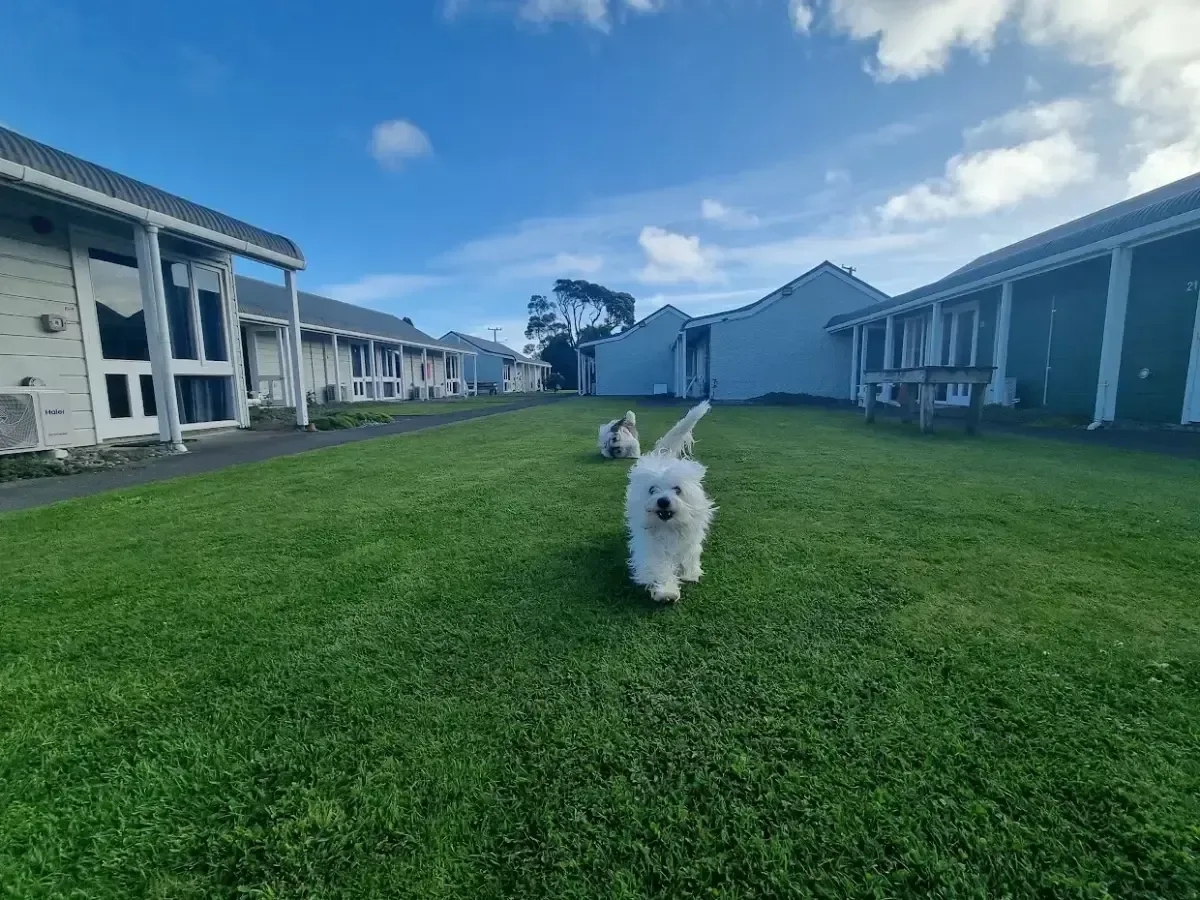 Motel que admite mascotas en Hawera — perros bienvenidos en The Furlong