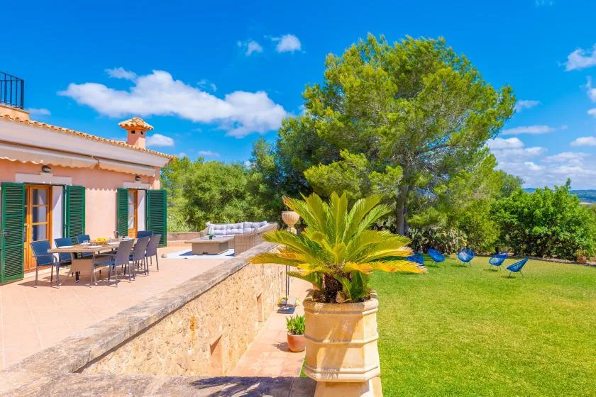 A sunny garden beside a house, with a patio and a large potted plant.
