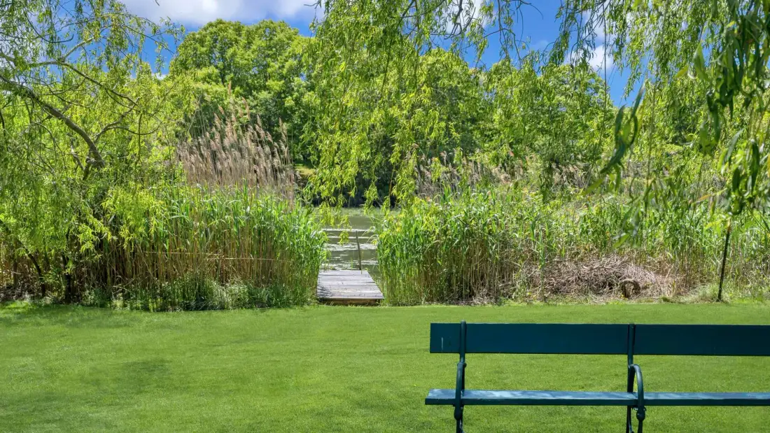 Un jardín con césped y un banco junto a un sendero entre juncos altos.
