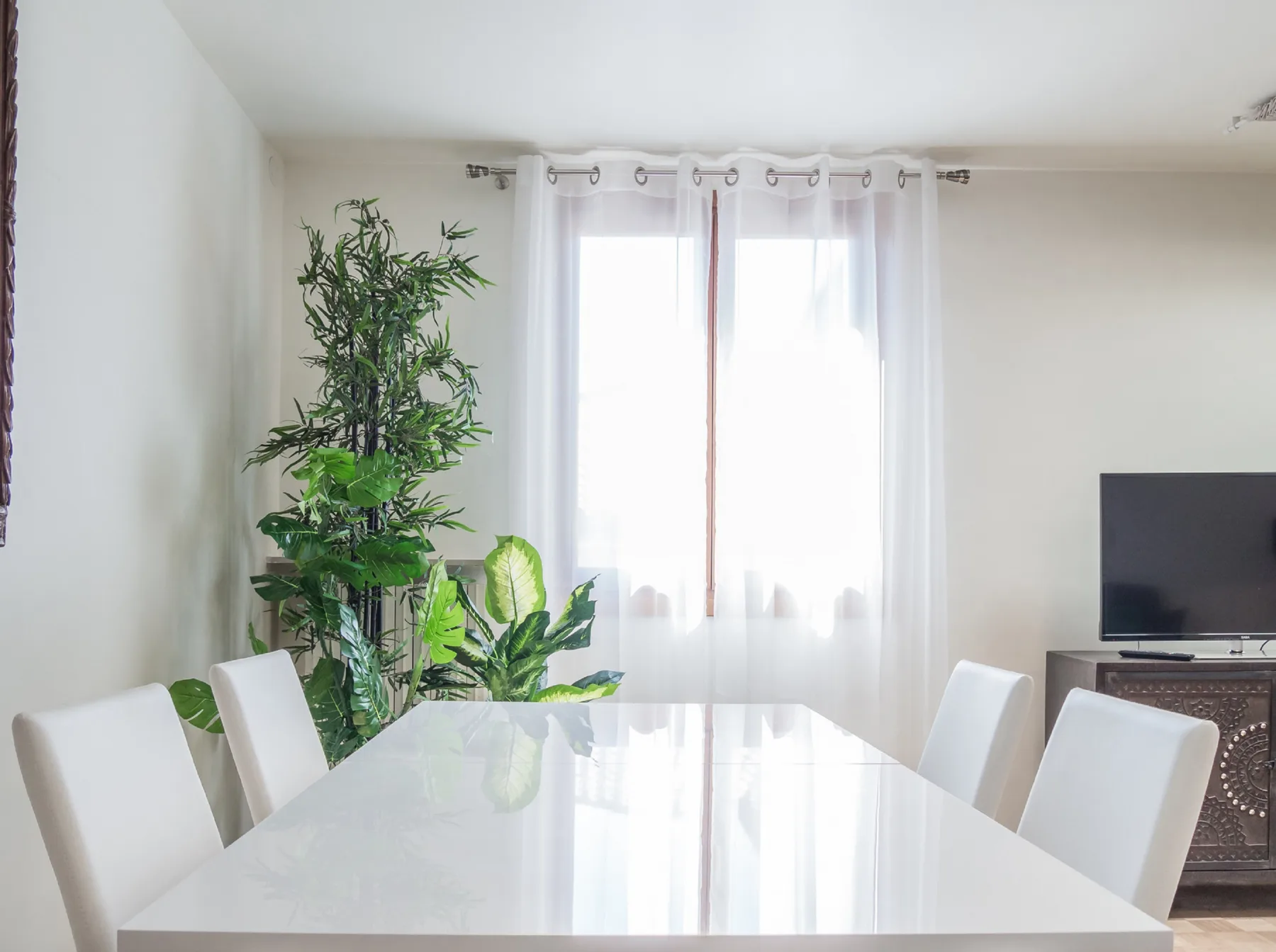 A bright dining area with a glossy table, white seating, and leafy plants by the window.