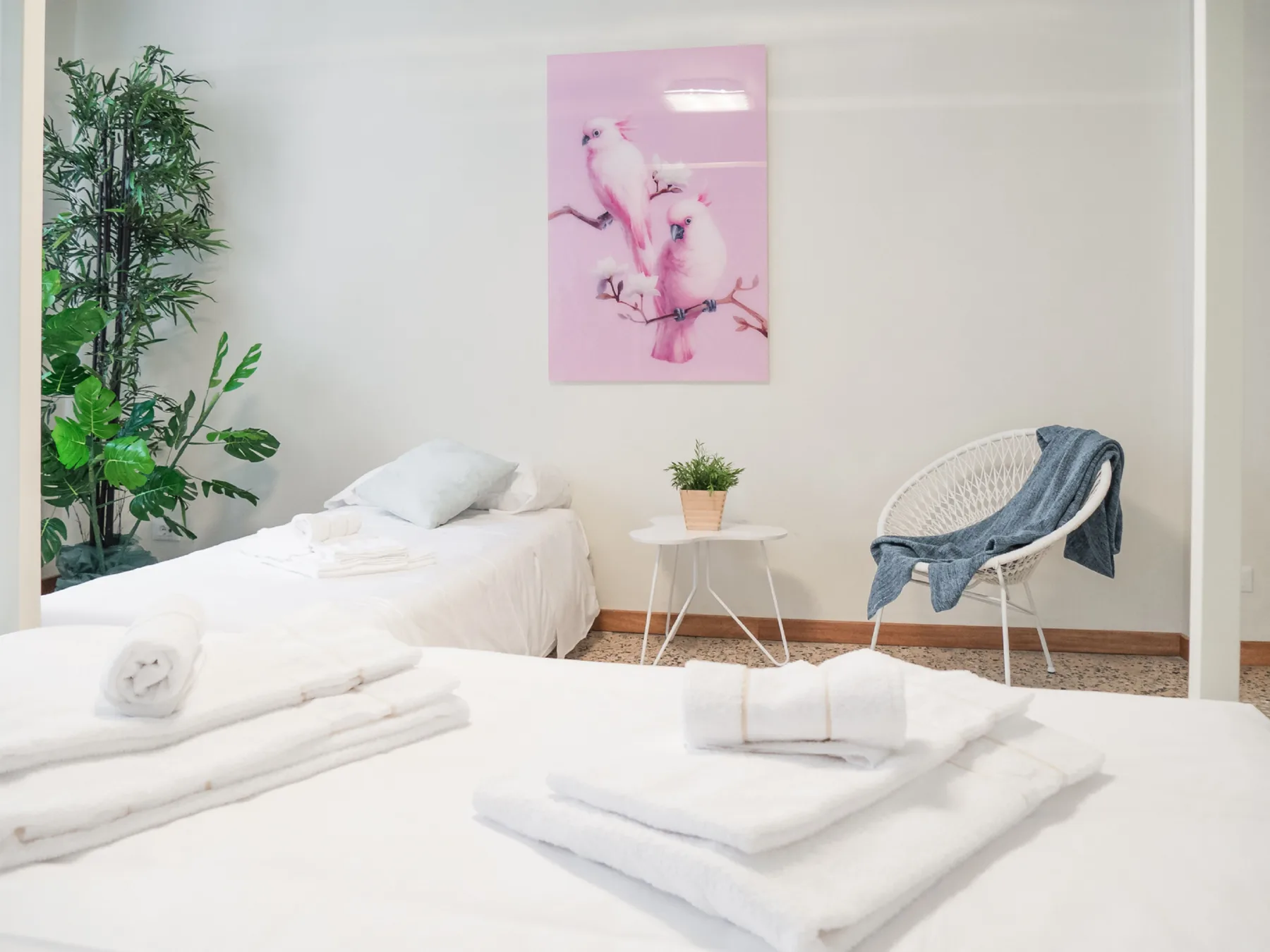 A bright bedroom with white beds, a woven chair, and a potted plant.