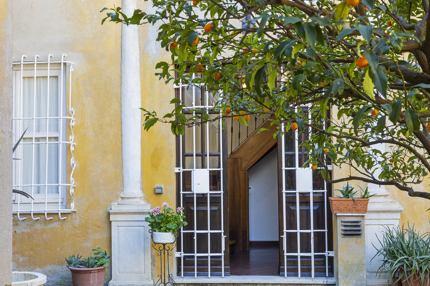 An arched building entrance beneath leafy branches, with barred windows on either side.