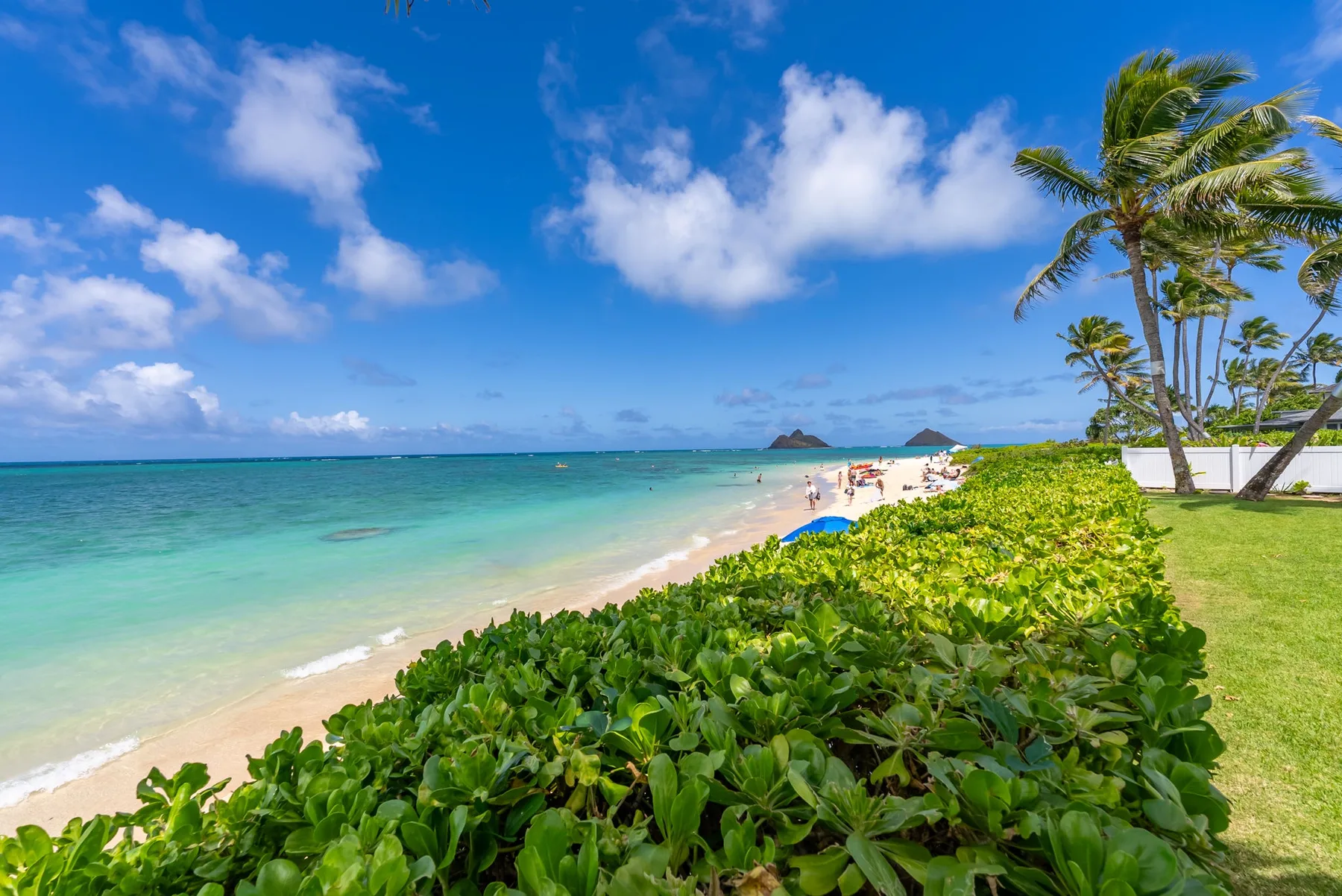 Una playa tropical con agua turquesa, vegetación junto a la orilla y palmeras.