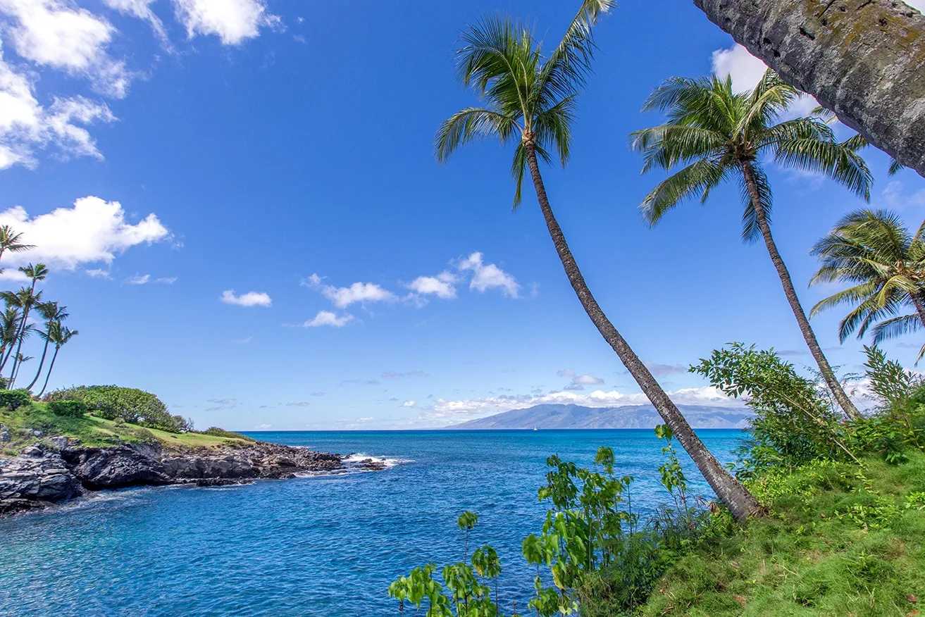 Una costa tropical con palmeras, bordes rocosos y agua azul del océano.