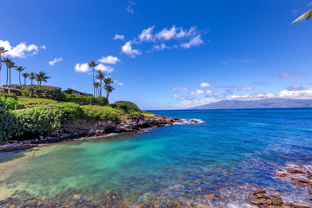 Una costa tropical con agua turquesa, orilla rocosa y palmeras.