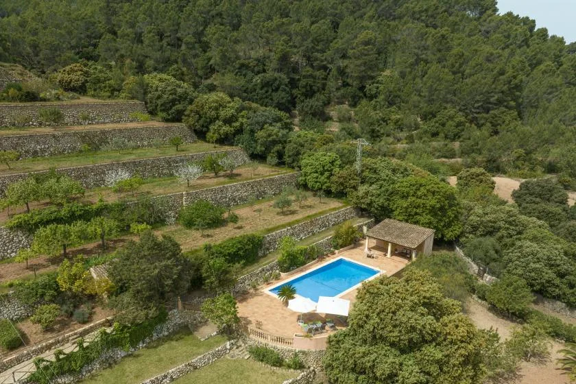 Una piscina está rodeada de terrazas verdes en una ladera boscosa.