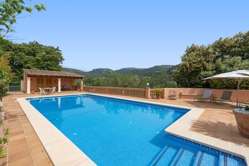 Una piscina al aire libre está junto a un patio sombreado y rodeado de vegetación.