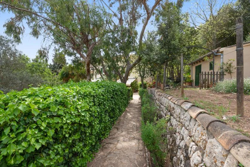 Un sendero de piedra atraviesa el jardín entre un seto frondoso y un muro bajo.