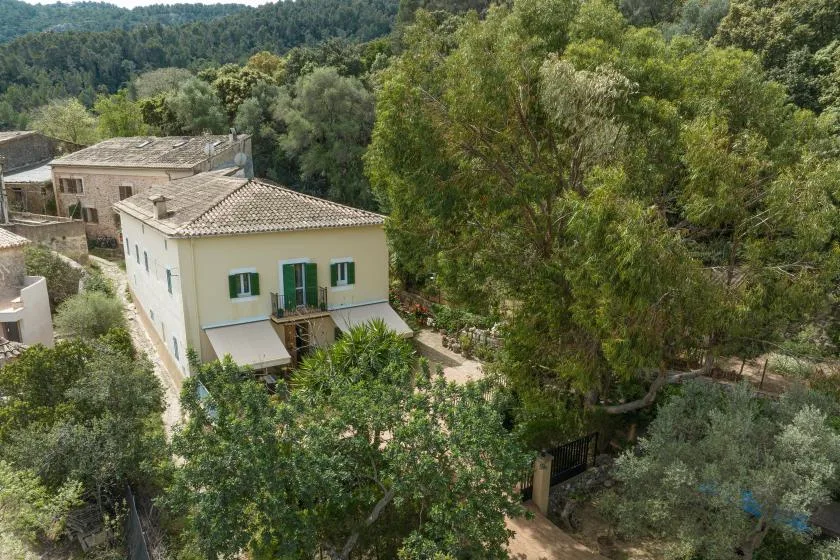 Una casa de color claro está rodeada de árboles y vegetación densa.