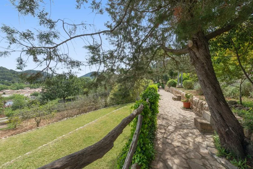 Un sendero de piedra pasa bajo un árbol grande junto a una pendiente cubierta de césped.